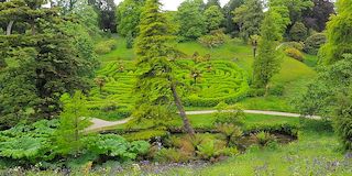 Glendurgan Gardens